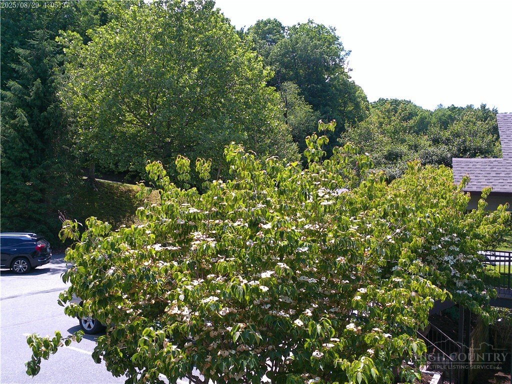 Condo in Blowing Rock, North Carolina, United States 3 - 17518491