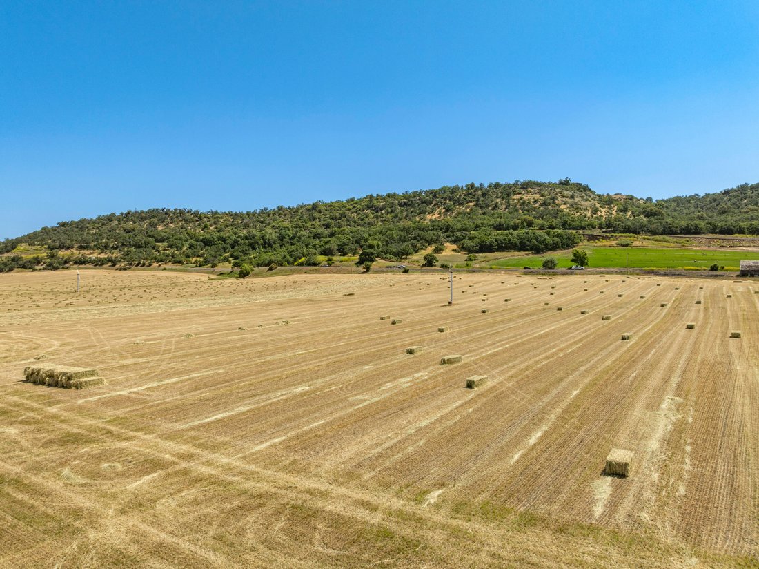 Land in Medford, Oregon, United States 4 - 18410841