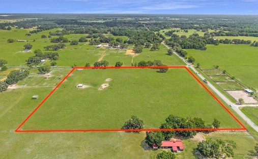 Farm Ranch in Wildwood, Florida, United States 1