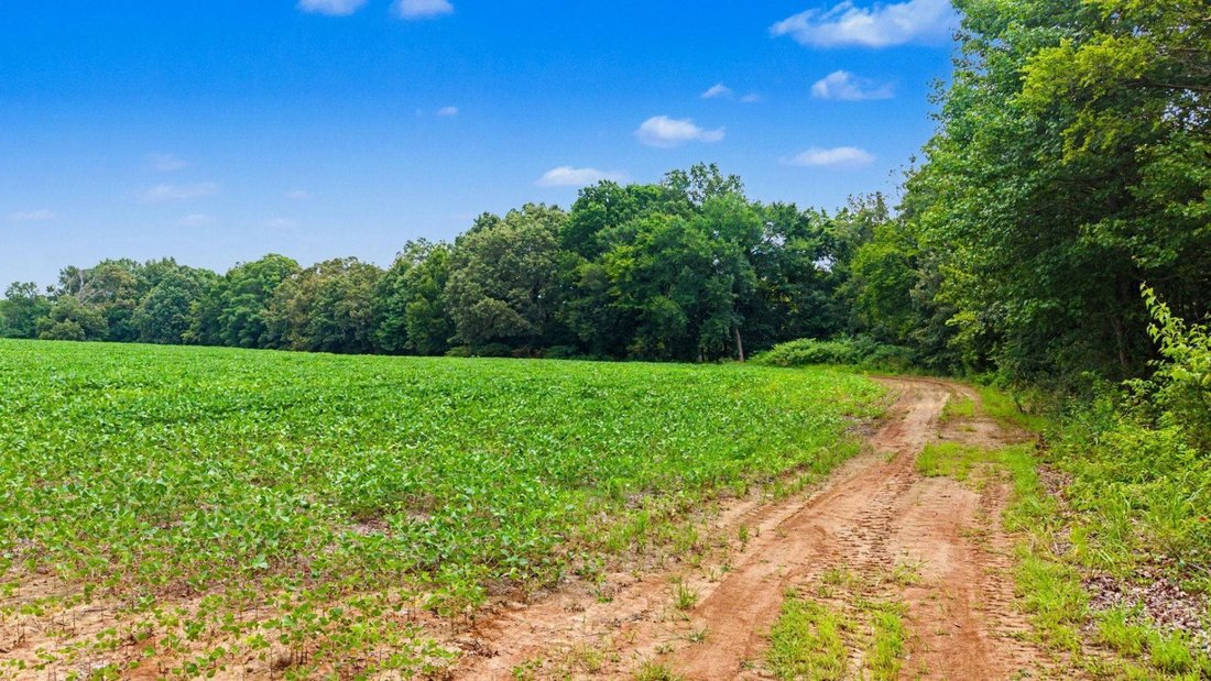 Land in Mason, Tennessee, United States 3 - 18418825