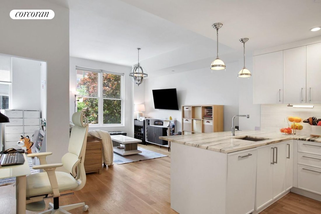 Condo in New York, New York, United States 2 - 18263888
