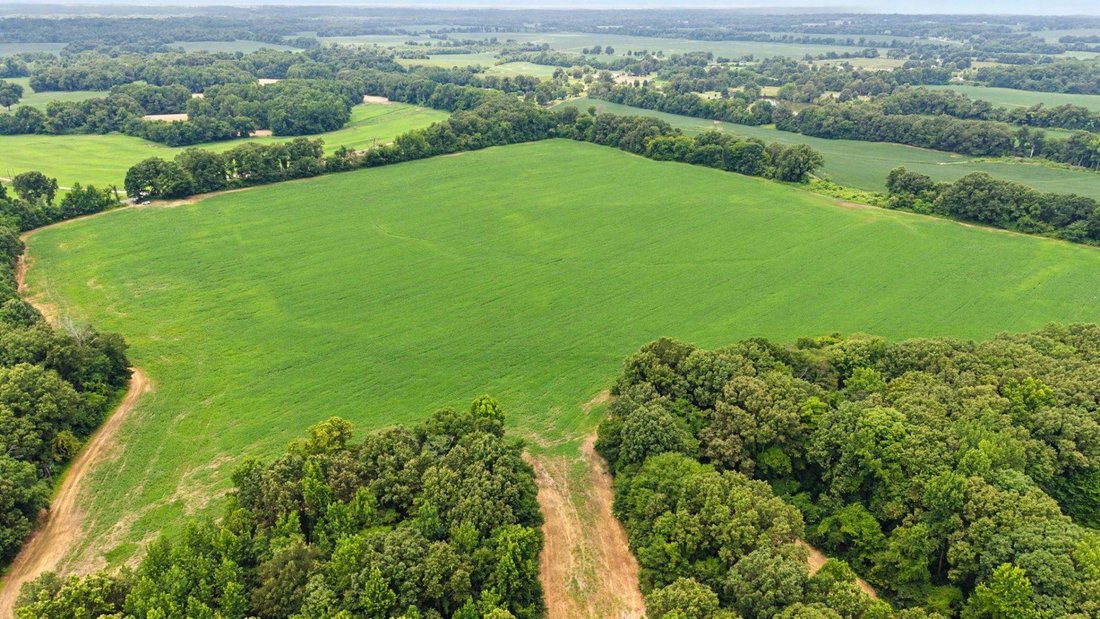 Land in Mason, Tennessee, United States 1 - 18418825