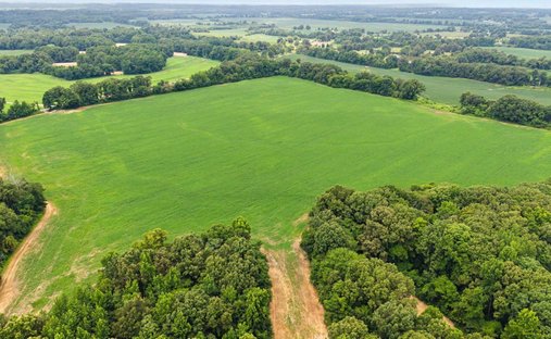 Land in Mason, Tennessee, United States 1