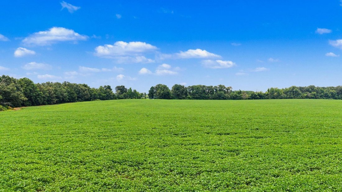 Land in Mason, Tennessee, United States 5 - 18418825