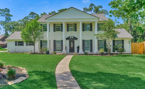 House in Spring, Texas, United States 1