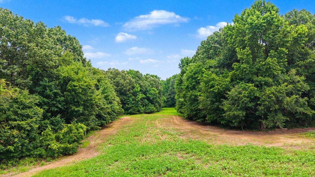 Land in Mason, Tennessee, United States 4 - 18418825