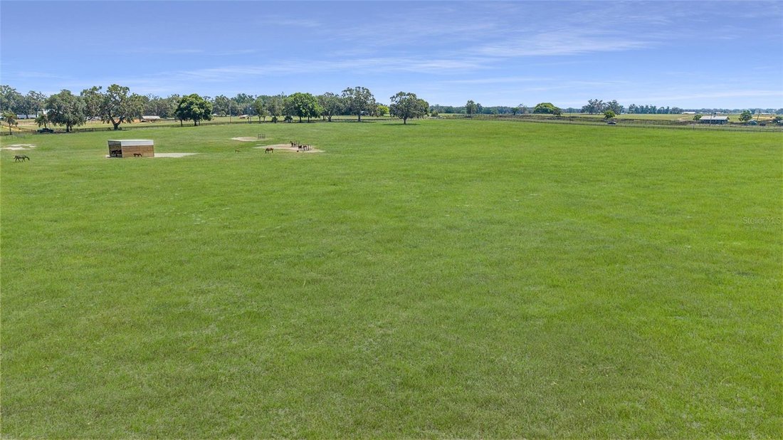 Farm Ranch in Wildwood, Florida, United States 2 - 18417292