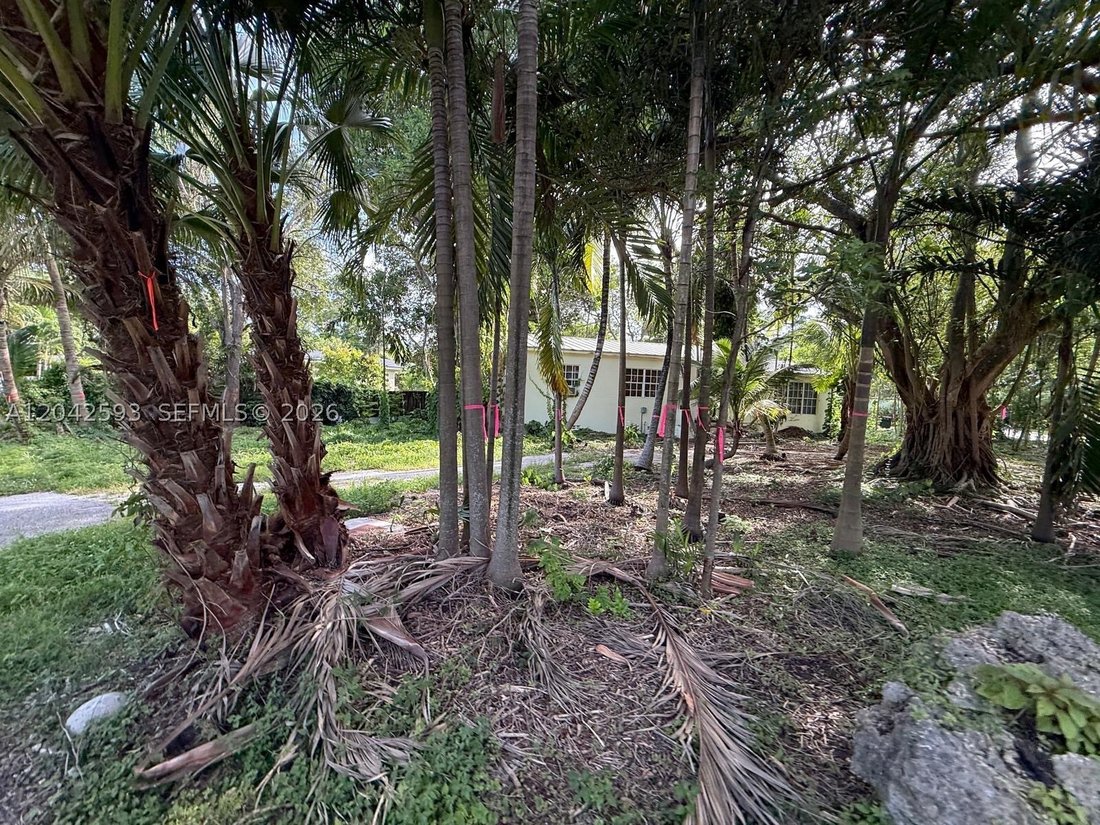 House in Miami, Florida, United States 1 - 18419546