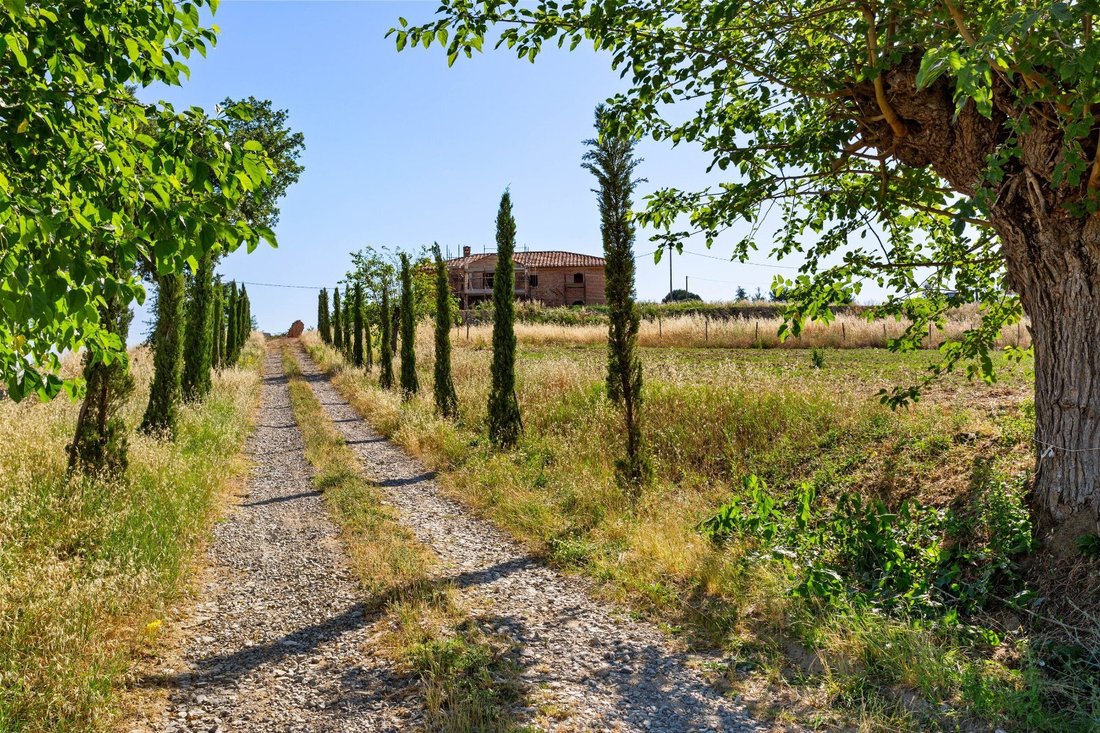 House in Castiglione del Lago, Umbria, Italy 1 - 18419489