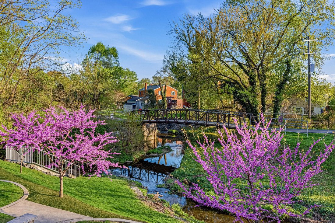 Condo in Leesburg, Virginia, United States 2 - 18419535