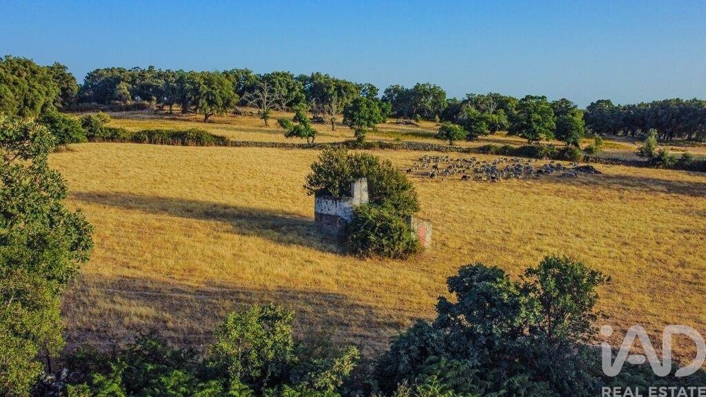 Farm Ranch in Santa Maria de Marvao, Portalegre District, Portugal 5 - 18419869