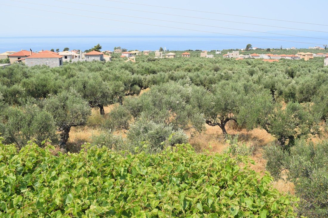 Villa in Lefktro, Peloponnese, Western Greece and the Ionian, Greece 2 - 18419553