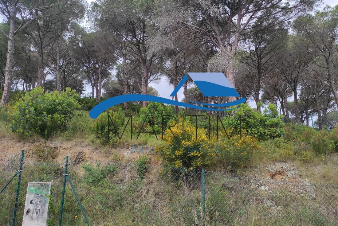 Land in Lloret de Mar, Catalonia, Spain 4 - 15247454