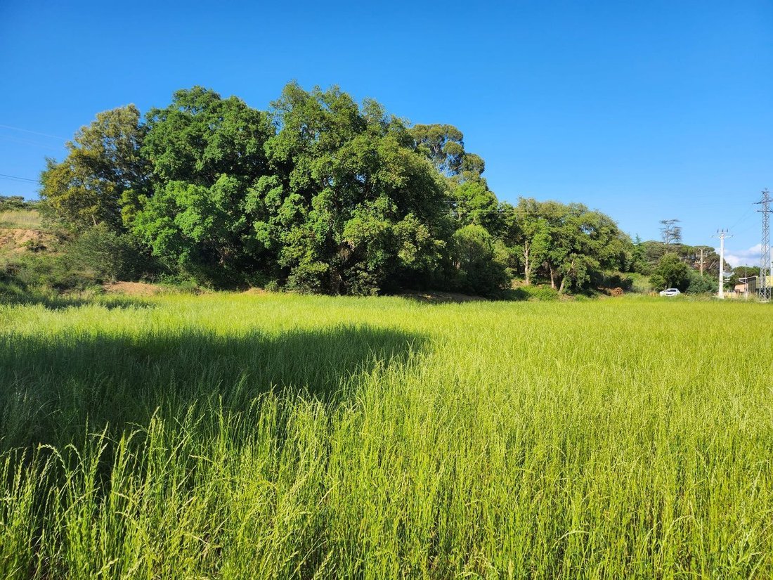 Land in Fornells de la Selva, Catalonia, Spain 3 - 13108791