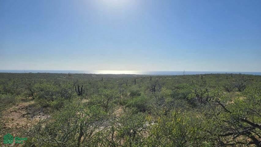 Land in Todos Santos, Baja California Sur, Mexico 1 - 17808513