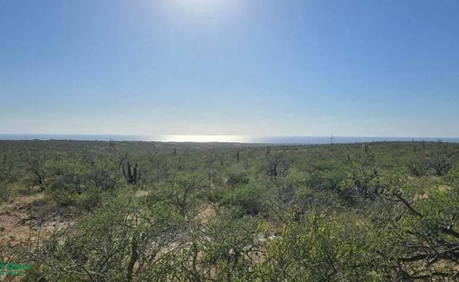 Land in Todos Santos, Baja California Sur, Mexiko 1