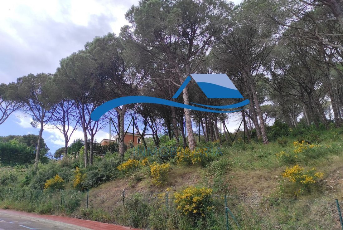 Land in Lloret de Mar, Catalonia, Spain 1 - 15247454