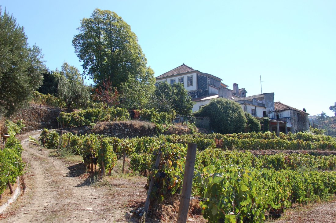 Farm Ranch in Fontelo, Viseu District, Portugal 2 - 18419871