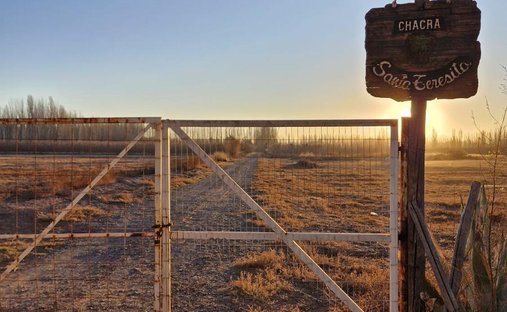 Land in Cipolletti, Río Negro, Argentina 1