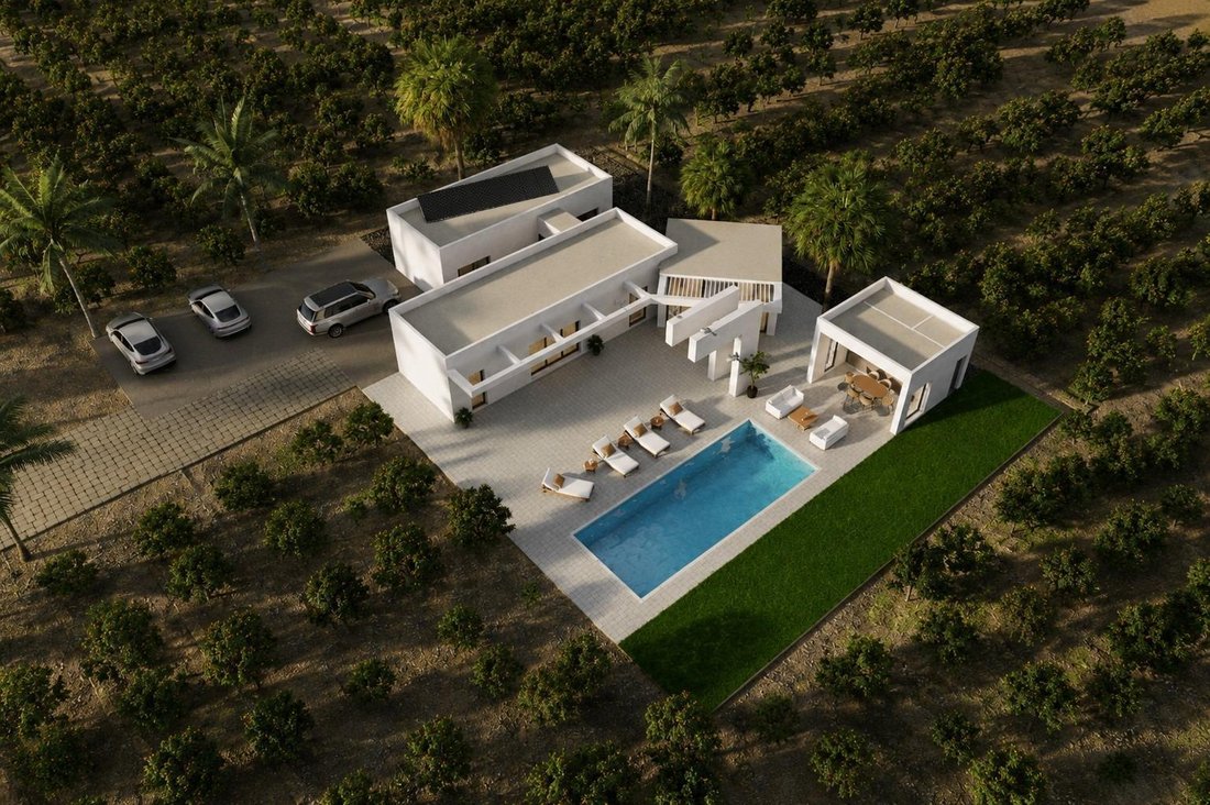 Villa in Benejuzar, Valencian Community, Spain 2 - 18420356