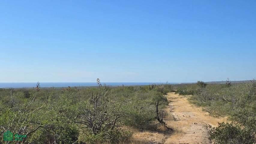 Land in Todos Santos, Baja California Sur, Mexico 4 - 17808513