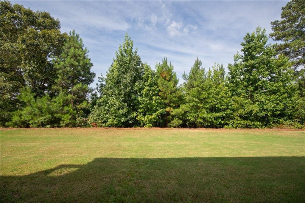 House in Hoschton, Georgia, United States 4 - 18419806