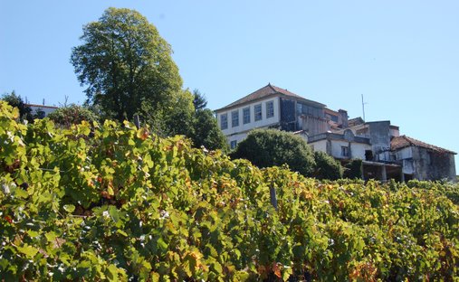 Azienda agricola a Fontelo, Distretto di Viseu, Portogallo 1
