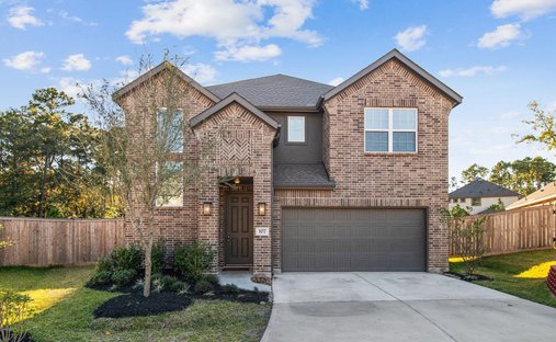 House in Conroe, Texas, United States 1