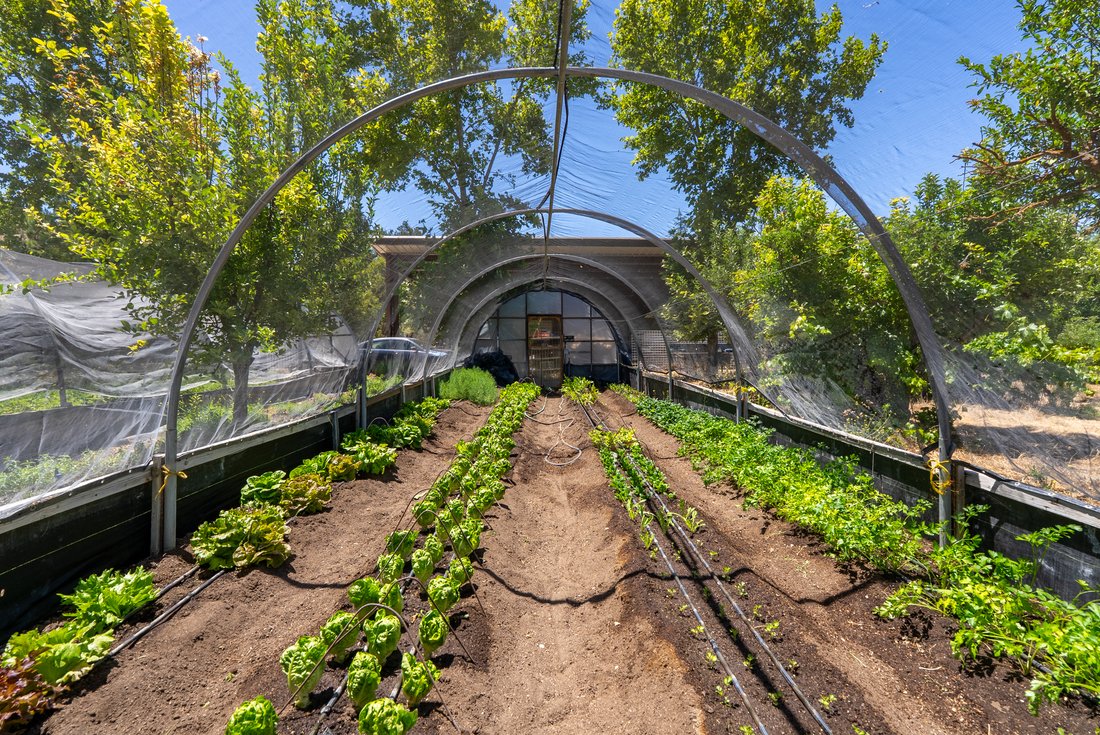 Paso Robles, California, United States 4 - 18420078