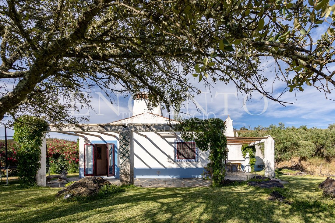 Finca in Terena (Sao Pedro), Évora District, Portugal 2 - 18419620