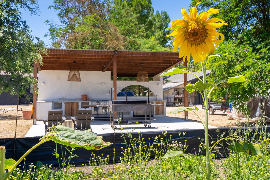 Paso Robles, California, United States 5 - 18420078