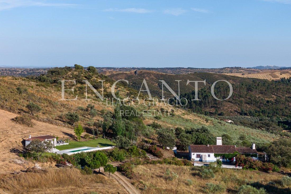 Finca in Terena (Sao Pedro), Évora District, Portugal 5 - 18419620