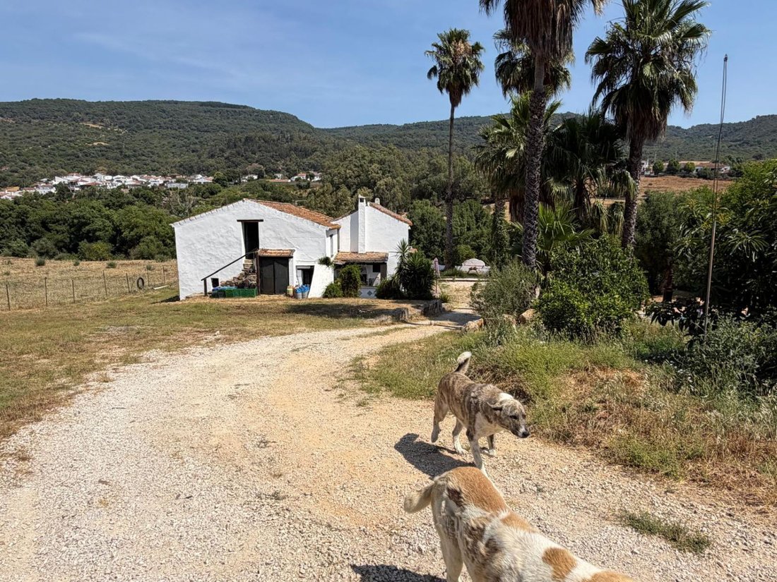 Finca in Gaucin, Andalusia, Spain 3 - 18420311