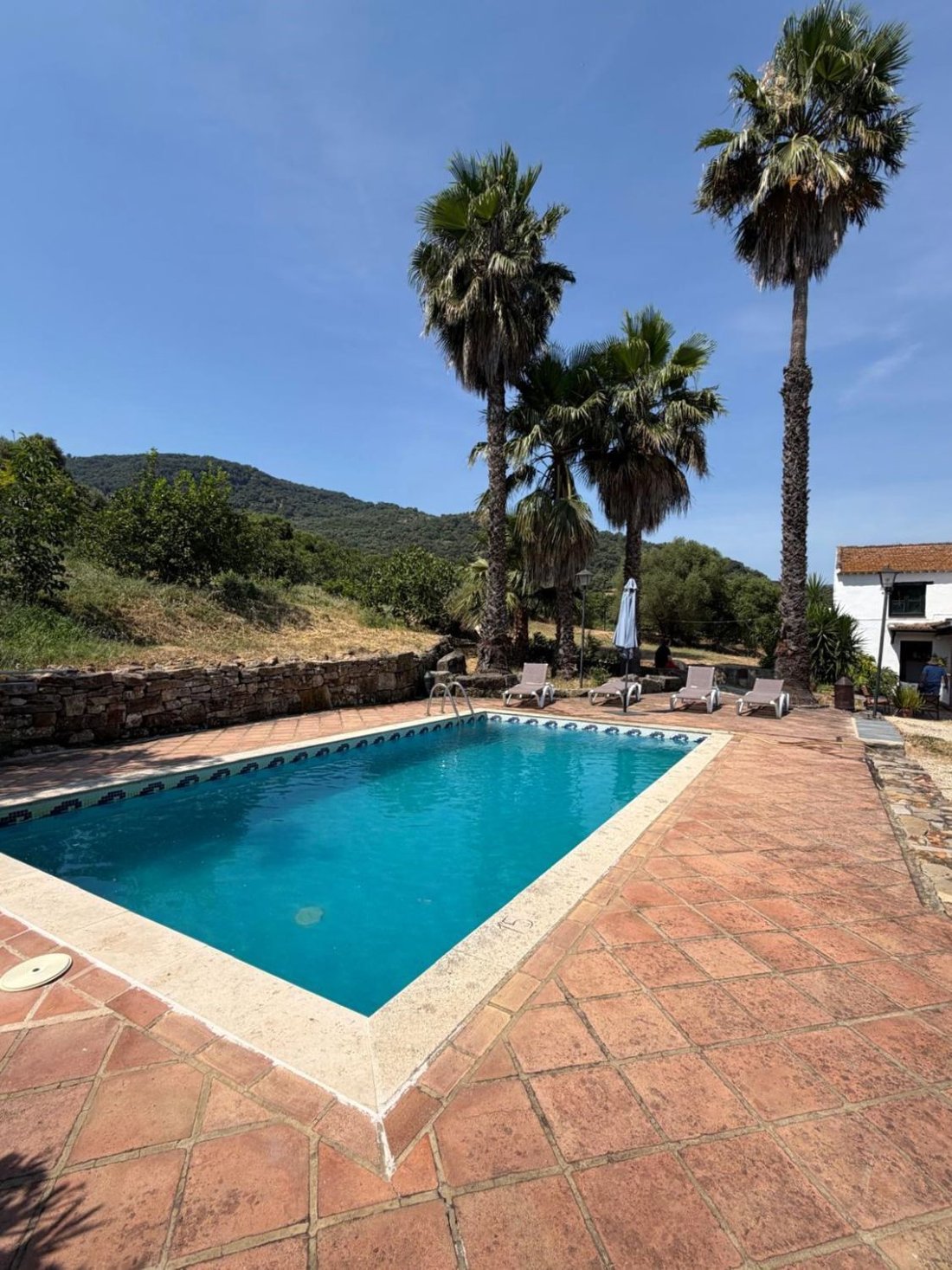 Finca in Gaucin, Andalusia, Spain 5 - 18420311