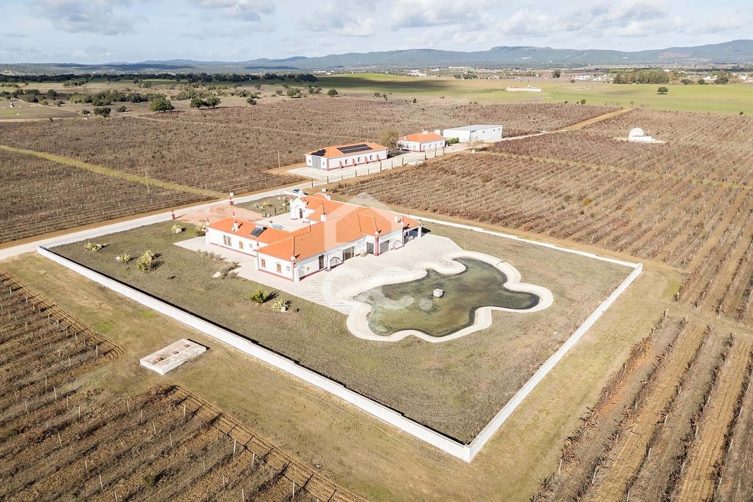 Farm Ranch in Redondo, Évora District, Portugal 5 - 18419845