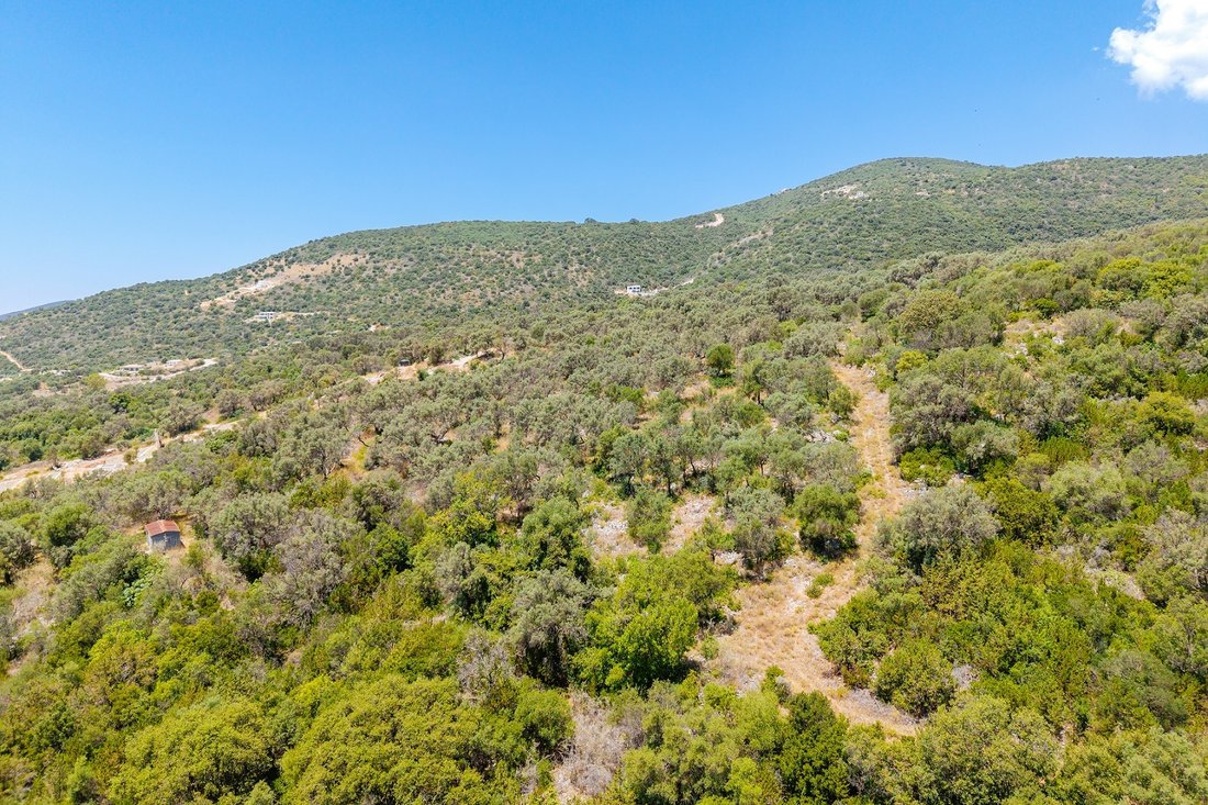 Land in Agiou Hlia, Apollonioi, Griechenland 5 - 18419932