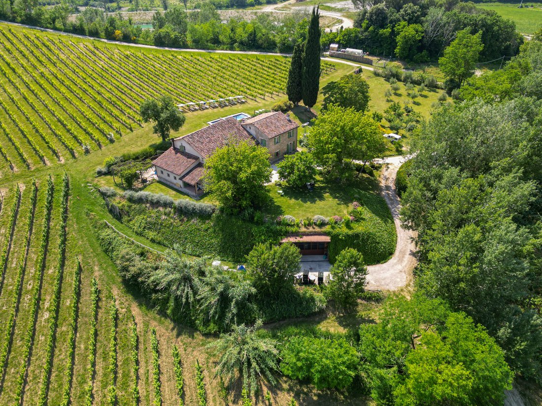 Estate in Brisighella, Emilia-Romagna, Italy 5 - 17719359