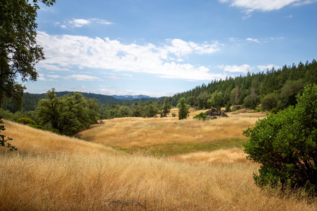 Farm Ranch in Laytonville, California, United States 4 - 18420416