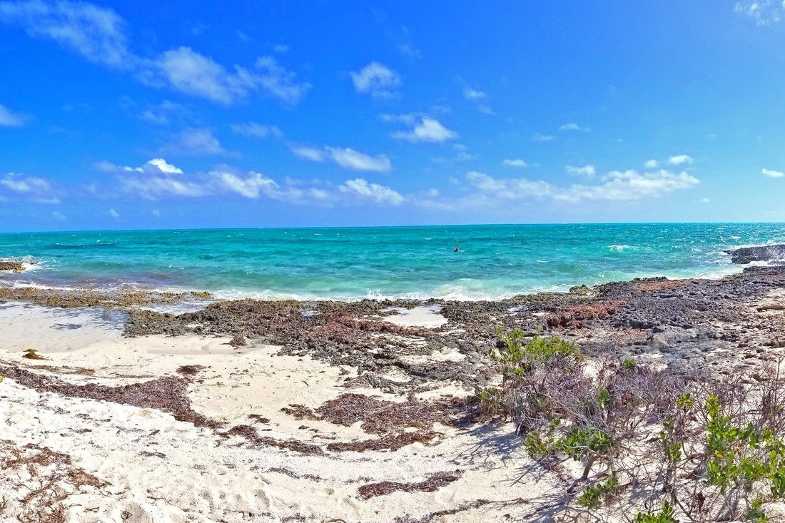 Private Island in Mangrove Cay Settlement, Mangrove Cay, The Bahamas 3 - 18156242