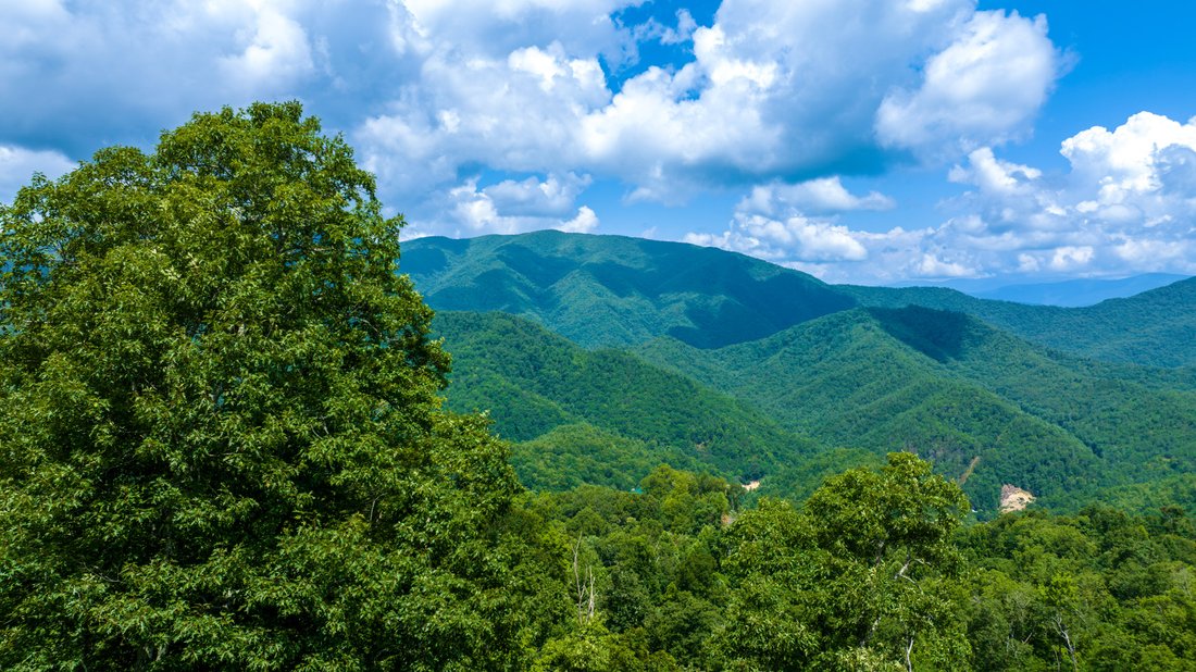 House in Bryson City, North Carolina, United States 3 - 18421502