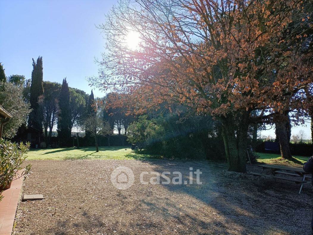 Castle of Castiglione, Castiglione della Pescaia, Tuscany 3 - 18424029
