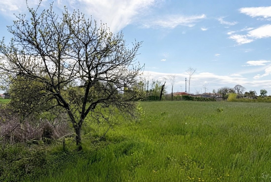 Land in Piombino Dese, Veneto, Italy 1 - 18032065