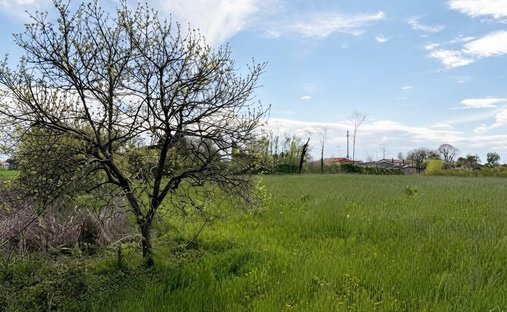 Land in Piombino Dese, Veneto, Italy 1