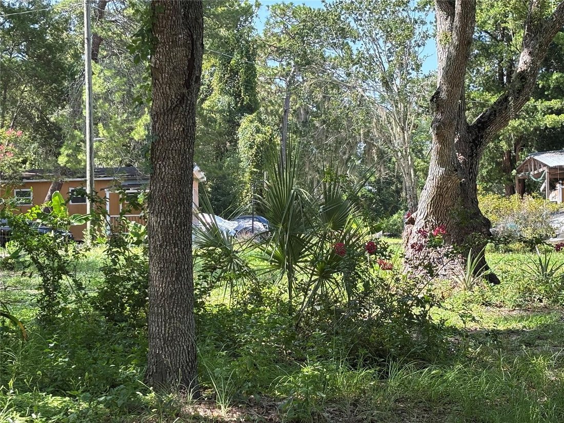 Hudson, Florida, United States 5 - 18422178