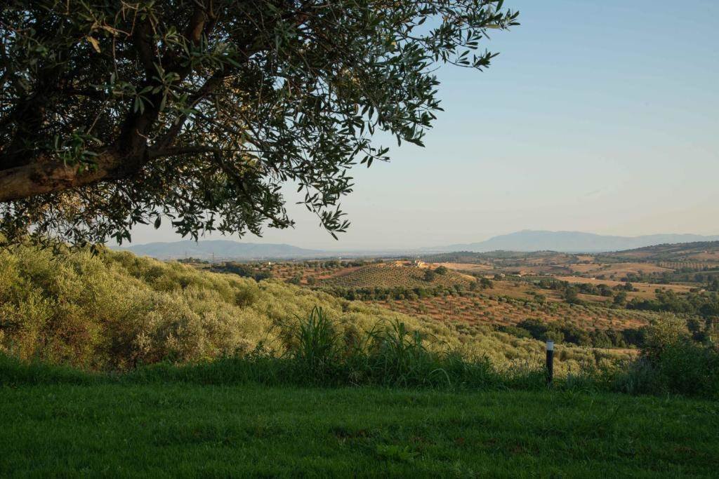 Country House in Magliano in Toscana, Tuscany, Italy 3 - 18424036