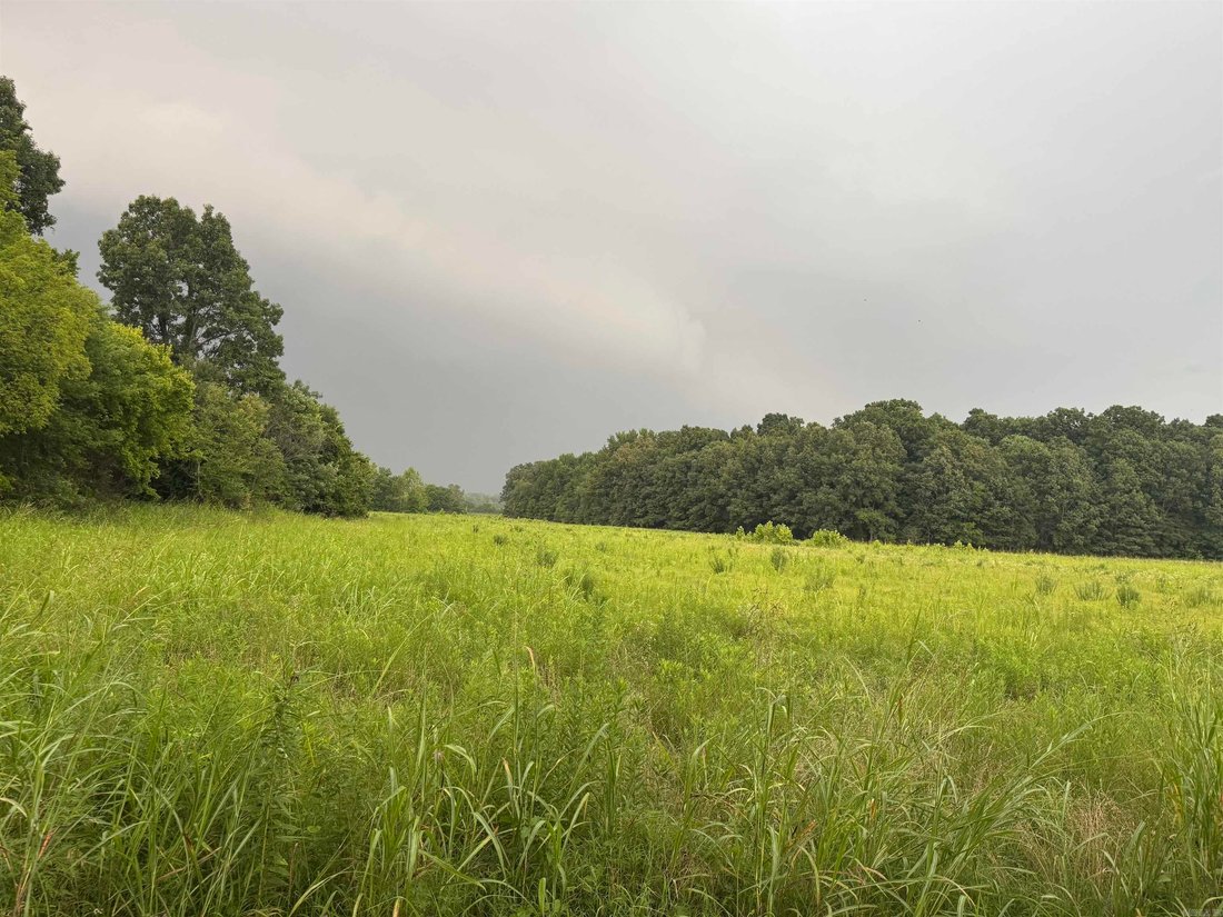 House in Piggott, Arkansas, United States 5 - 18423013