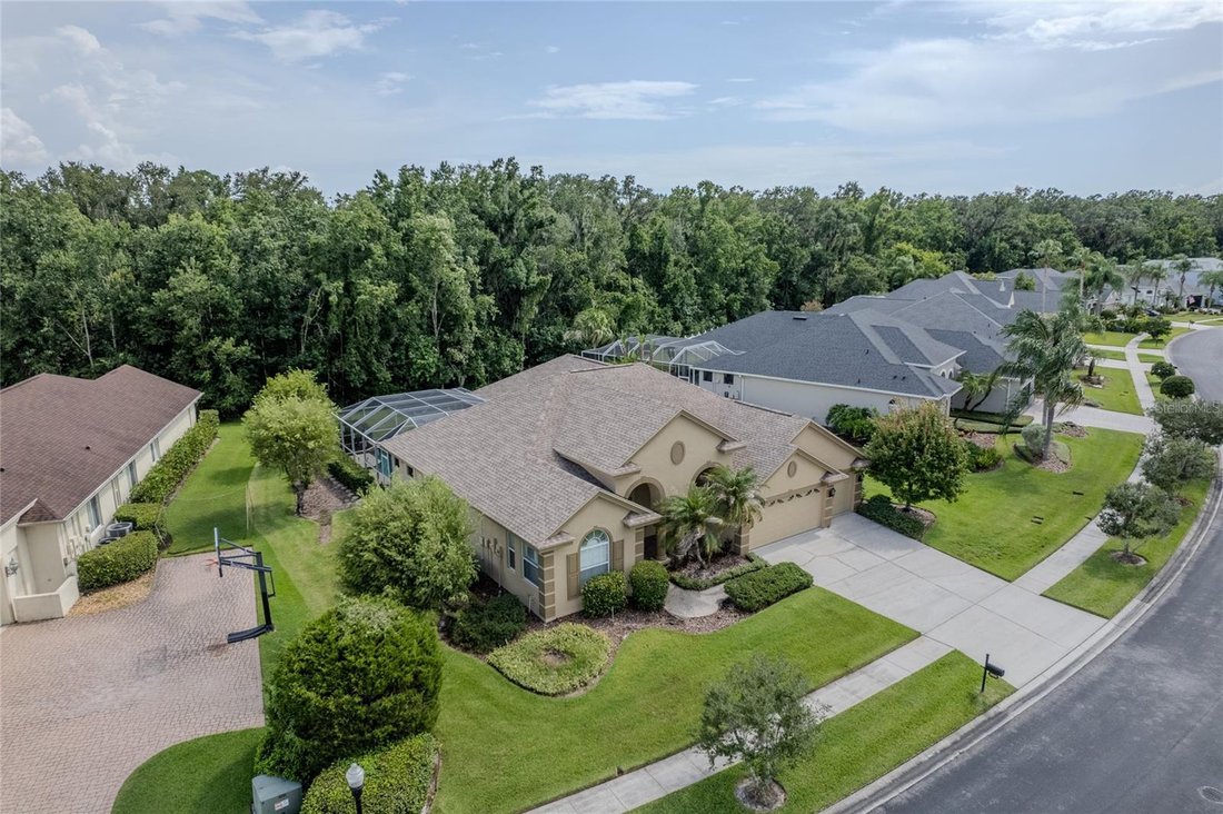House in Wesley Chapel, Florida, United States 3 - 18422187