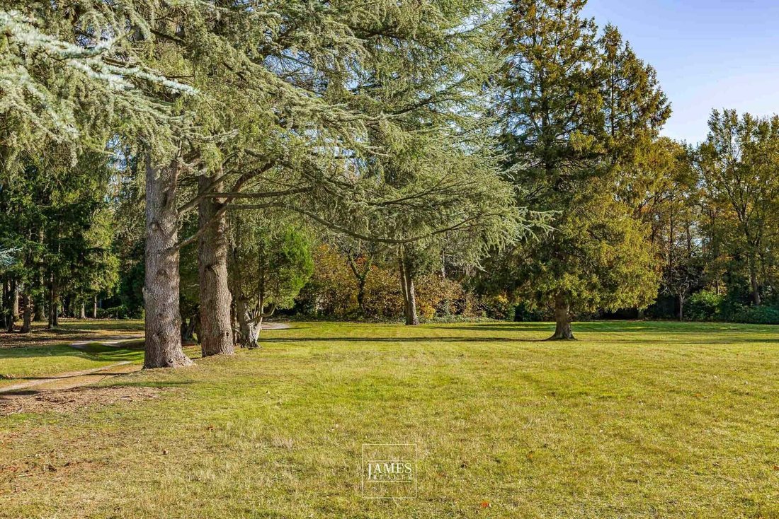 Land in Lasne, Wallonia, Belgium 5 - 18424441