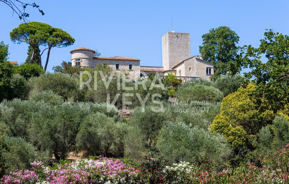 Country House in Les Indes les-Groulles, Mouans-Sartoux, France 4 - 18421348