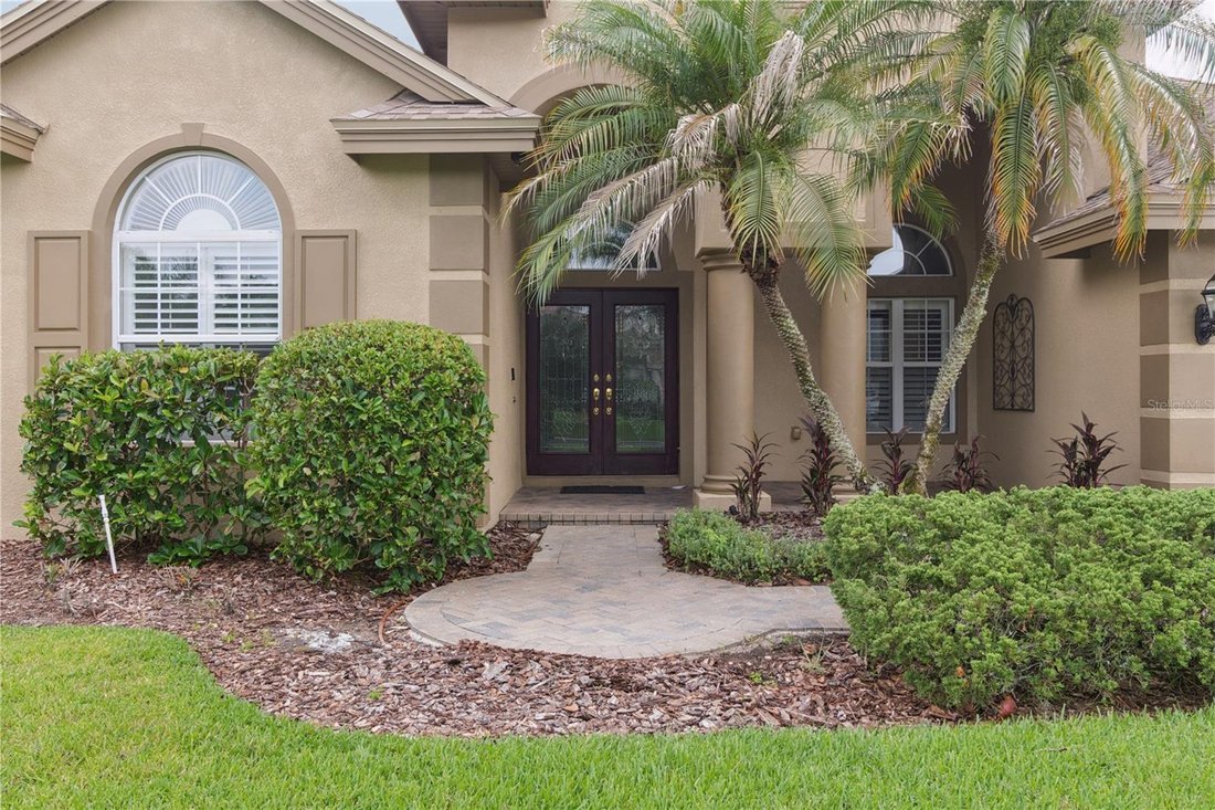 House in Wesley Chapel, Florida, United States 5 - 18422187